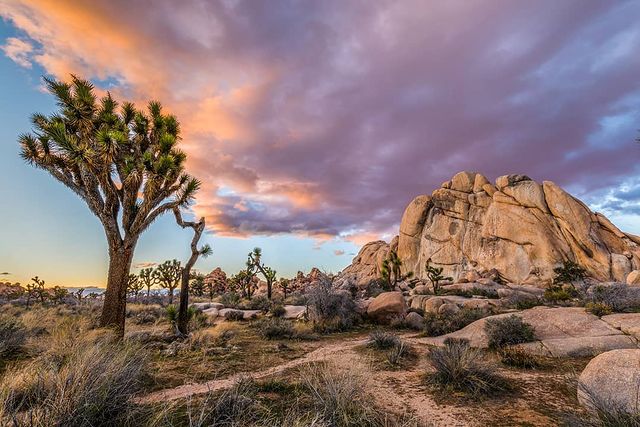 Quinceanera: Hidden Valley Nature Trail Trailhead with joshua trees and rocks in the desert at sunset
